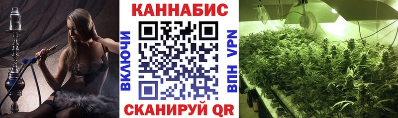 Где купить наркоту Вышний Волочёк А ПВП  Меф мяу мяу  ГАШ  Экстази  MEGA сайт  Кокаин 