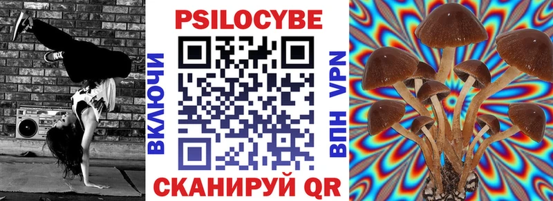 Псилоцибиновые грибы Cubensis  Вышний Волочёк 
